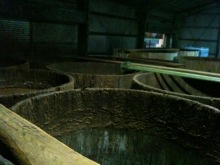 $癒しの小道　　　心治療士-ｍ