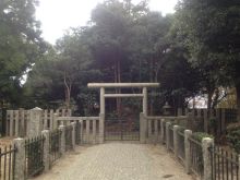 癒しの小道　　　心治療士-ｒ