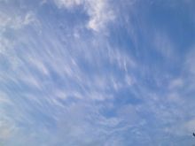 癒しの小道　　　心治療士-ｓ