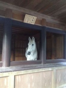 $癒しの小道　　　心治療士-ｚ
