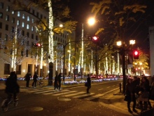 $癒しの小道　　　心治療士-ｃ