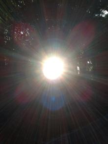 $癒しの小道　　　心治療士-ｎ