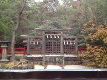 $癒しの小道 心治療士-g