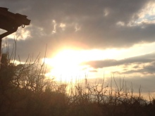 $癒しの小道　　　心治療士-ｓ