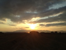 $癒しの小道　　　心治療士-あ