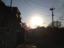 $癒しの小道 心治療士-z