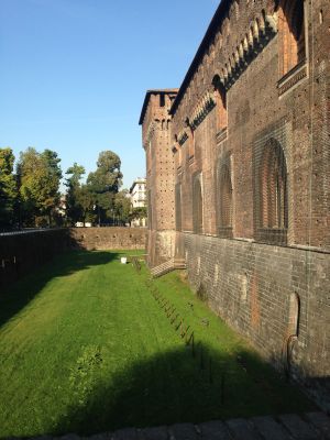 IMG_2697.jpg