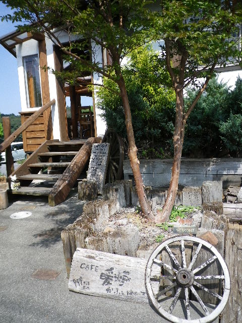 IMGP4738.jpg