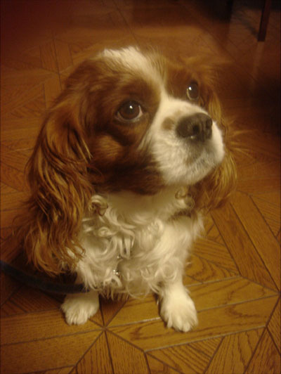 ２５　意識とは？