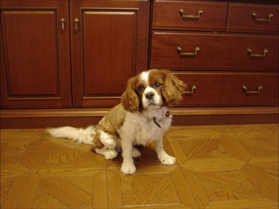 ２６　心とは？