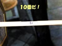 amao45.jpg