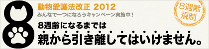 8週齢バナー