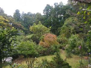 11-11-13　窓から