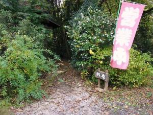 11-11-13　店入り口