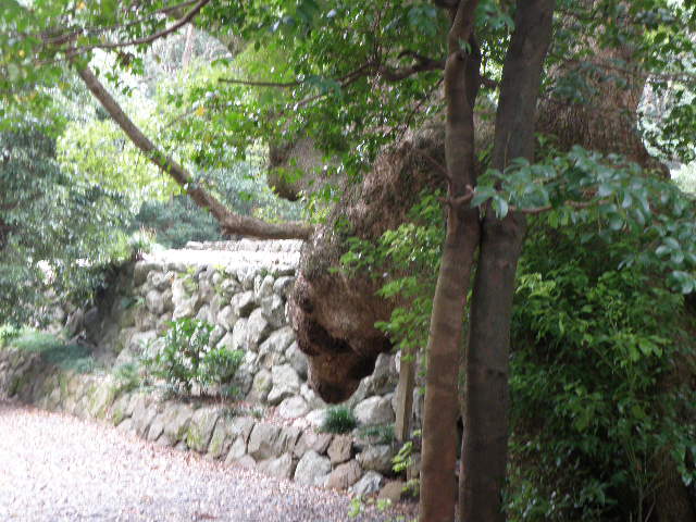PB040113.jpg