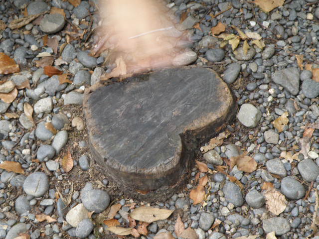 PB040124.jpg
