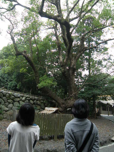 PB040129.jpg