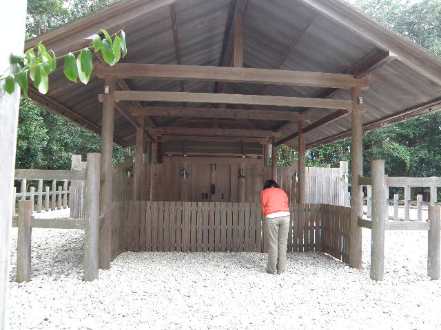 PB040139.jpg