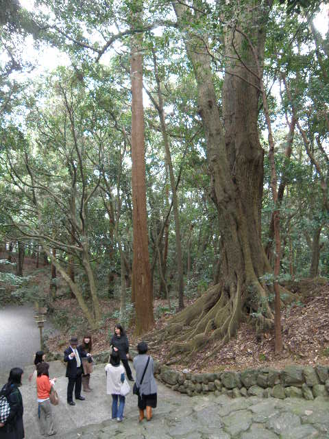 PB040143.jpg