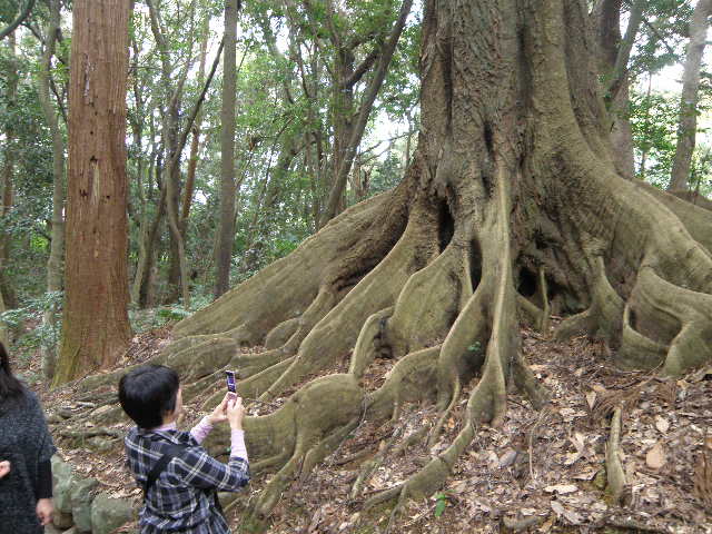 PB040149.jpg