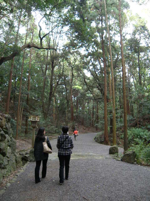 PB040155.jpg