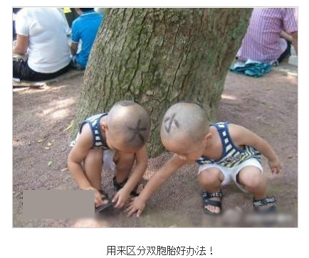 2012-01-26_144620[1]