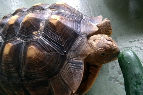 IMG00495.jpg
