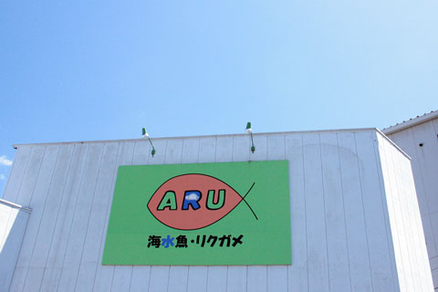 IMG_6050.jpg