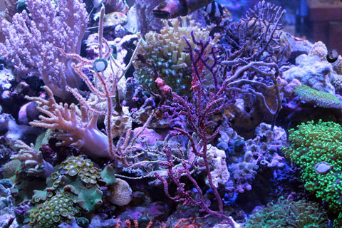 IMG_6134.jpg
