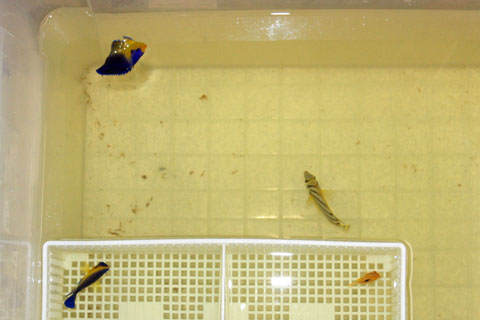 IMG_6377.jpg