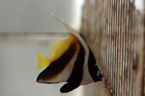 IMG_6418.jpg