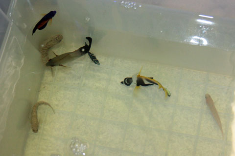 IMG_6893.jpg