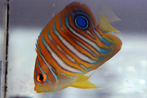 IMG_7025.jpg