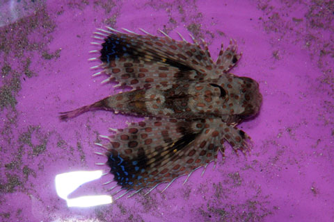 IMG_7374.jpg