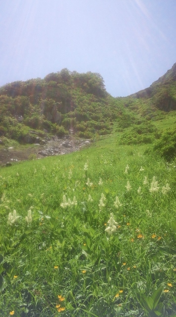 IMG_20130807_130805 (356x640)