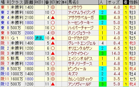 20130602軸馬結果