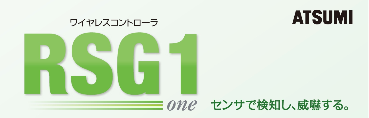 RSG1-4.jpg