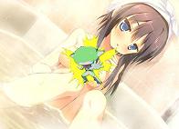 ALcot Official web site