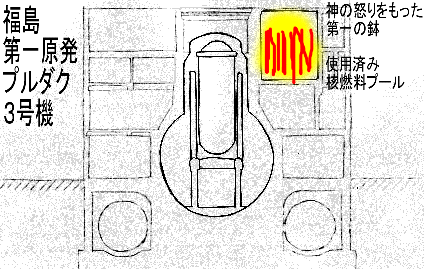 ７