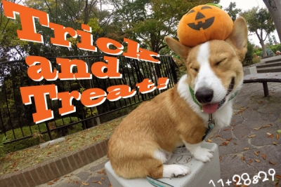 trick or treat!