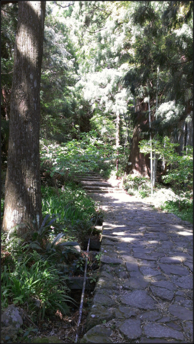 2013-04-28 10sdfさf