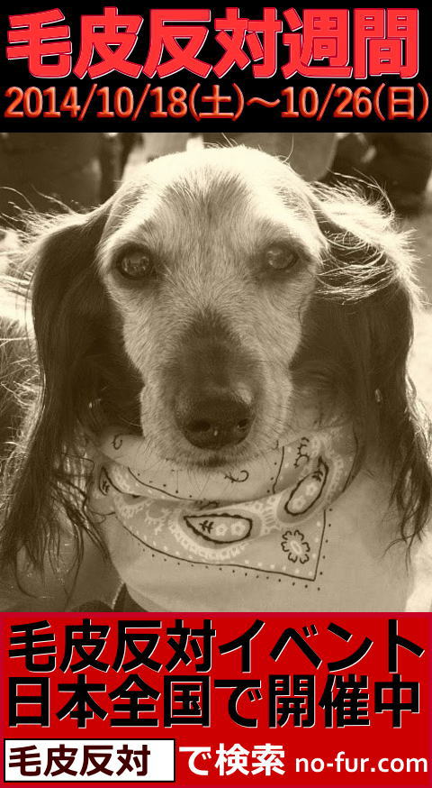 毛皮反対週間