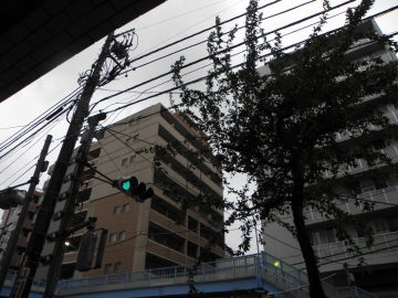 P9300835.jpg
