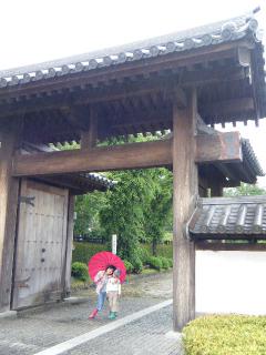 DSCF1662.jpg