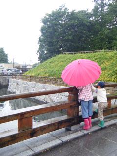 DSCF1669.jpg