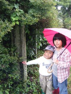 DSCF1672.jpg