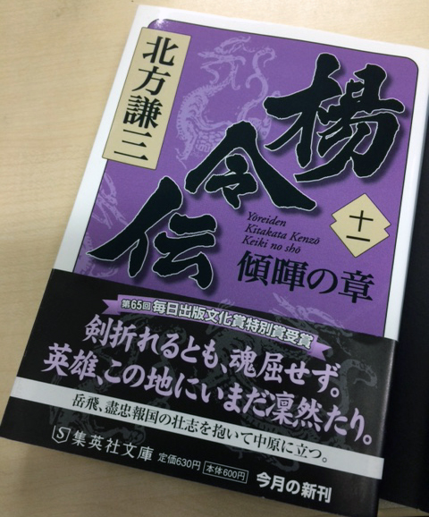 楊令伝11