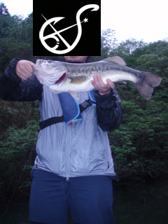 P5033608 のコピー