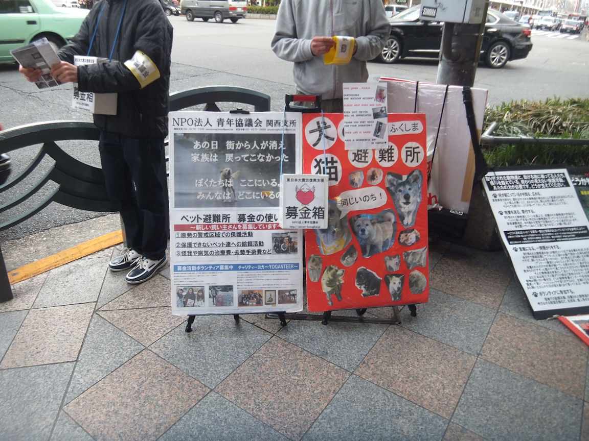 11_20130421235055.jpg