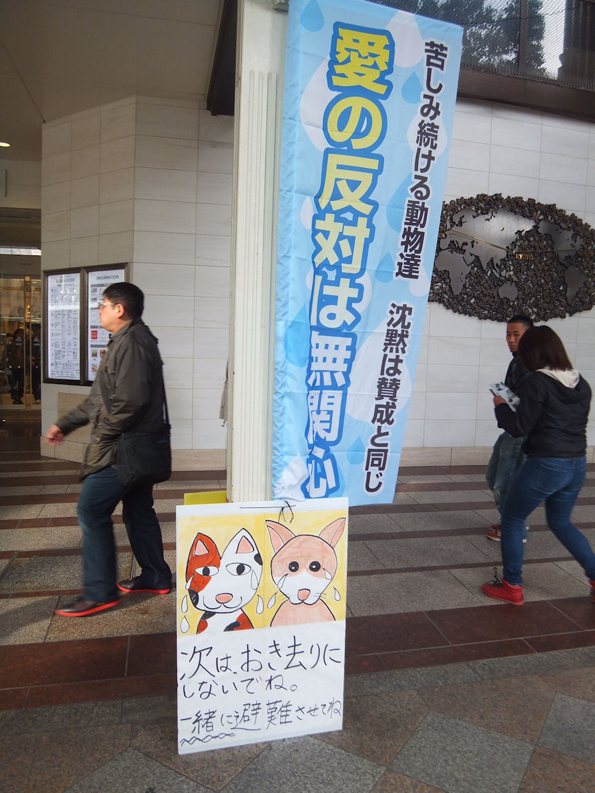 13_20130421235126.jpg